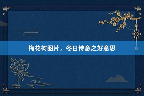 梅花树图片，冬日诗意之好意思